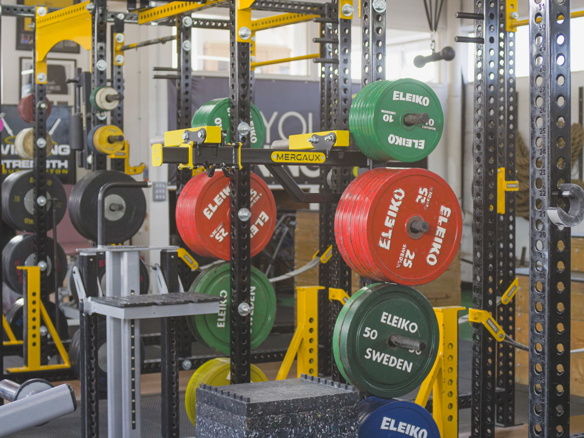ProFit Dips Bar, attachement de dips pour rack (vue 5)