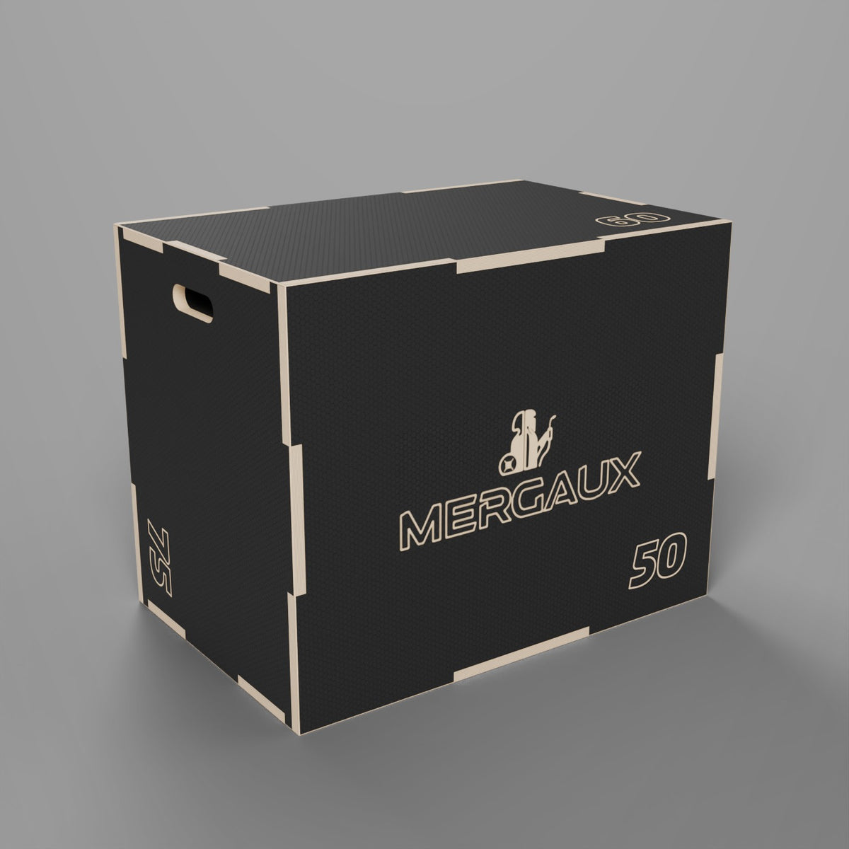 PlyoBox L Mergaux debout, logo gravé sur la face avant, poignée latérale